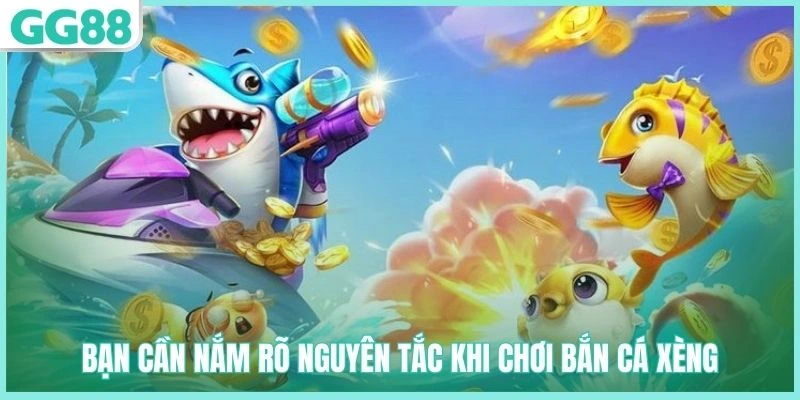 Nguyên tắc cơ bản cần nắm vững